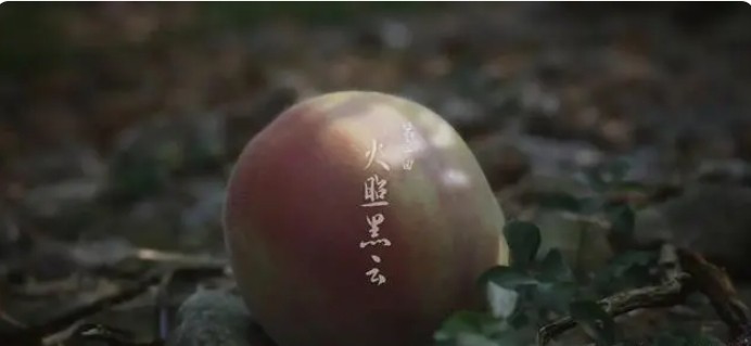 黑神话悟空手机版