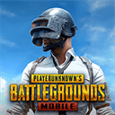 PUBG亚服