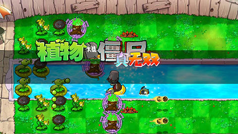 PVZ真无双版