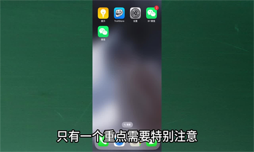 巨魔商店手机版