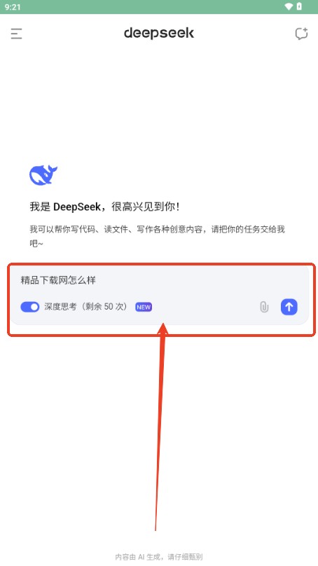 深度求索(DeepSeek)