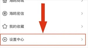 海鸥聊天安卓版