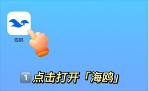 海鸥聊天安卓版