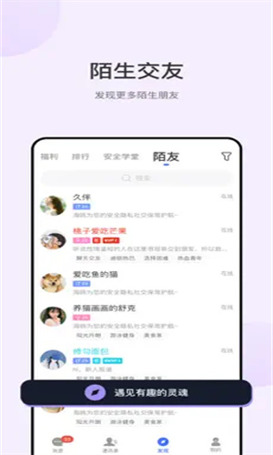 海鸥